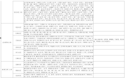 爆料残疾母子视频大全最新,温情互动背后的社会关爱纪实