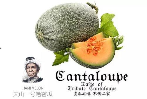 娱乐吃瓜配乐推荐